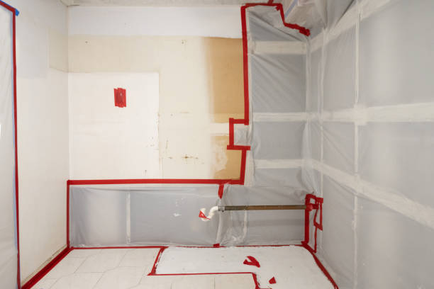 Best Commercial Mold Inspection  in Liverpool, NY